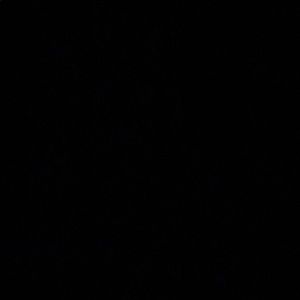 Meet your Posher, Selena